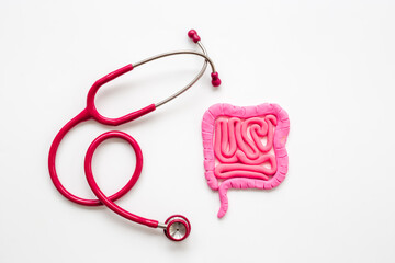 Human intestines colon organ shape. Digestive tract problems colitis or colon cancer