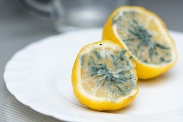 Macro close up of mildewed musty unfresh lemon cut in two parts with green mold on white plate