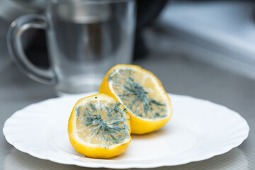 Macro close up of mildewed musty unfresh lemon cut in two parts with green mold on white plate