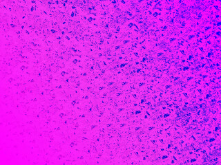 Pink vector natural grunge background with concrete wall texture large and small grains. UHD 4K wallpapers. For screen, desktop, website design, overlay, stencil, banner, stylization and polygraph