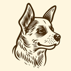 Fototapeta na wymiar Engraved vector illustration of dog head. Design template for logo, badge, label, poster, print and other uses.