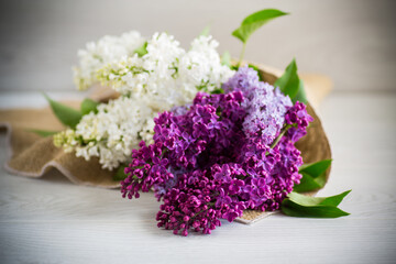 Obraz na płótnie Canvas Bouquet of beautiful spring lilacs of different colors