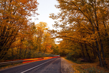 Fototapeta premium road in the autumn forest