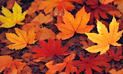 Naklejka na ściany i meble autumn leaves background created with Generative AI
