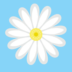 White daisy vector illustration. Cute flower plant isolated on a blue background.