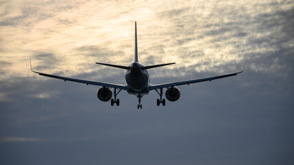 Image of the rear of a plane landing at sunset, seen from the ground among the vegetation, Barcelona airport