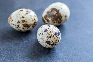 Obraz premium Easter quail eggs. Spring background with small easter quail eggs. Vintage photo processing