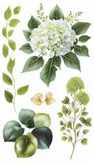 Hydrangea in Oil paint, Flower Illustration Set. Invitations and Cards. Generative AI