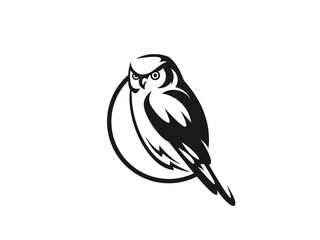 modern owl illustration vector logo