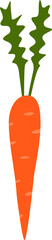 Hand drawn carrot on a transparent background.
