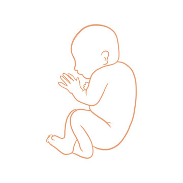 recommend clip art: Sleeping Newborn Baby Outlined