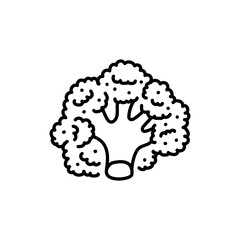 Broccoli color line icon. Healthy food. Vegetarian product