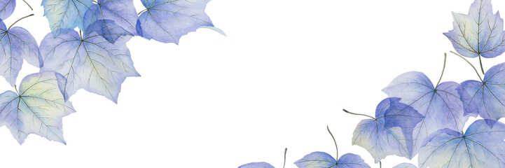 Watercolor transparent maple leaf illustration