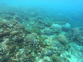 Fototapeta na wymiar Nusa Penida, Indonesia