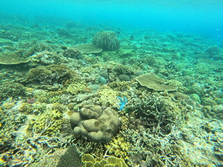 Nusa Penida, Indonesia