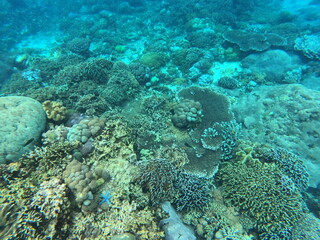 Nusa Penida, Indonesia