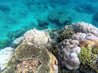 Obraz premium Nusa Penida, Indonesia