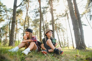 Fototapeta premium kids scouts in the forest.