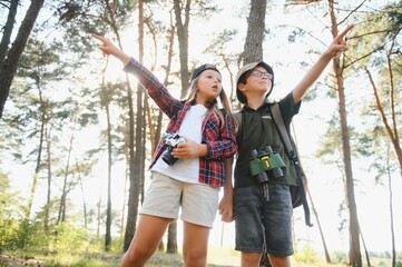 Two happy children having fun during forest hike on beautiful day in pine forest. Cute boy scout with binoculars during hiking in summer forest. Concepts of adventure, scouting and hiking tourism