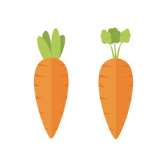 Two carrot vector illustration designed in flat cartoon style isolates on white background. Carrot doodle icon. Daucus carota L.