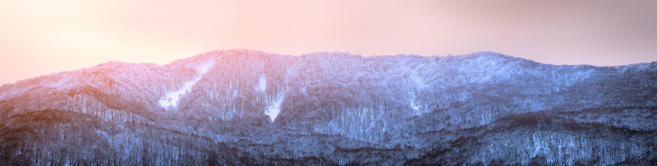 Panorama slope of the mountains. Winter trees in the rays of the winter sun