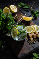Preparation of lemonade with mint and lemon. Ice cocktail