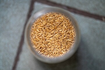 dried fruit, dates, prunes, grains, wheat, lentils, rice stored in glass jars in a kitchen