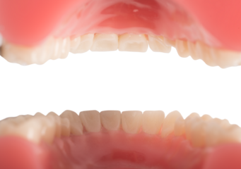 Inside of an opened mouth of a dentist patient