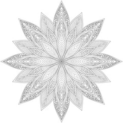 Mehndi Henna Drawing Circular Mandala pattern for tattoo, decoration premium product poster or painting. Decorative ornament in ethnic oriental style. Outline doodle hand draw illustration.