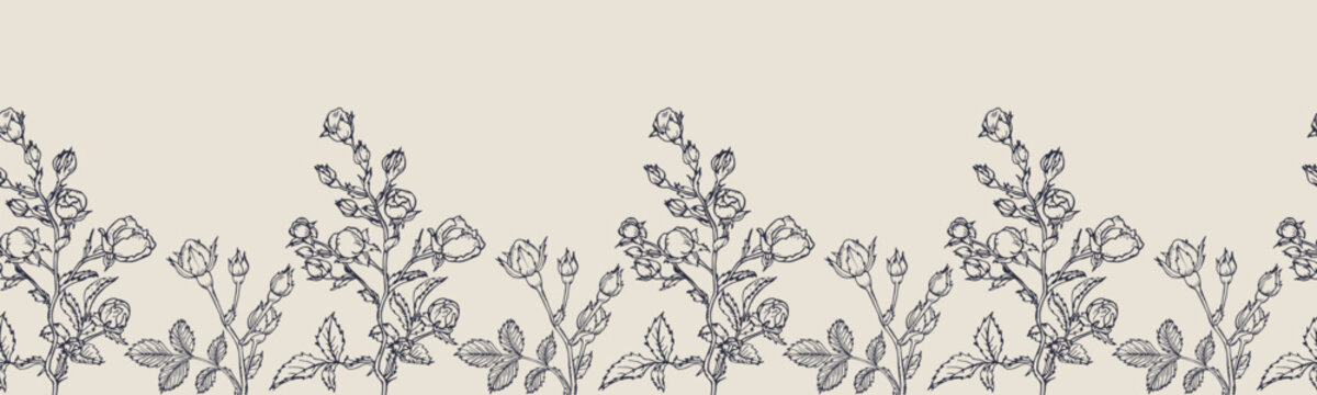 Vector horizontal seamless border with hand drawn Rose Flower. Eps 10. Line-art botanical illustration. Floral backdrop