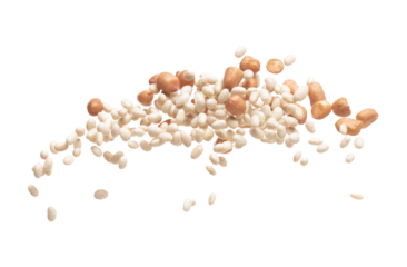 Mix white peanut beans fall down explosion, several kind bean float explode, abstract cloud fly. Dried white peanut mixed beans splash throwing in Air. White background Isolated high speed shutter