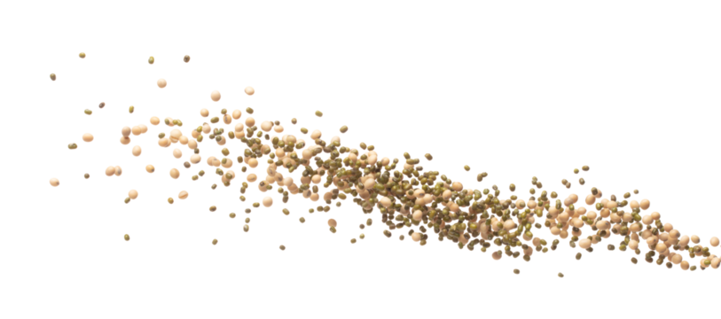 Mix green mung soy beans fall down explosion, several kind bean float explode, abstract cloud fly. Dried soybean green mung mixed beans splash throwing in Air. White background Isolated high speed