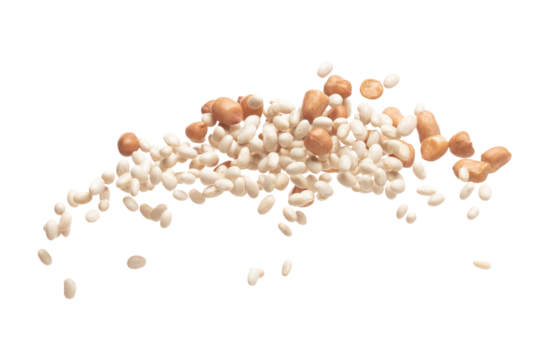 Mix white peanut beans fall down explosion, several kind bean float explode, abstract cloud fly. Dried white peanut mixed beans splash throwing in Air. White background Isolated high speed shutter
