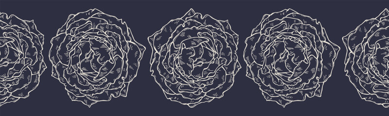Vector horizontal seamless border with hand drawn Rose Flower. Eps 10. Line-art botanical illustration. Floral backdrop