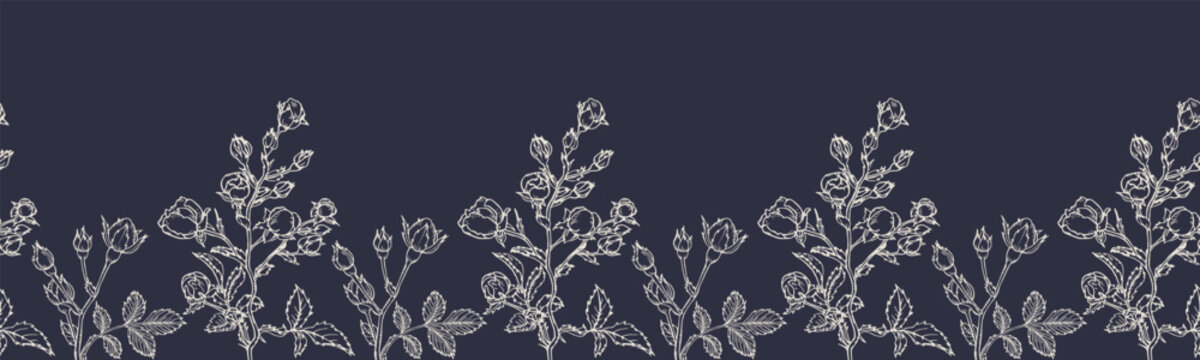 Vector horizontal seamless border with hand drawn Rose Flower. Eps 10. Line-art botanical illustration. Floral backdrop