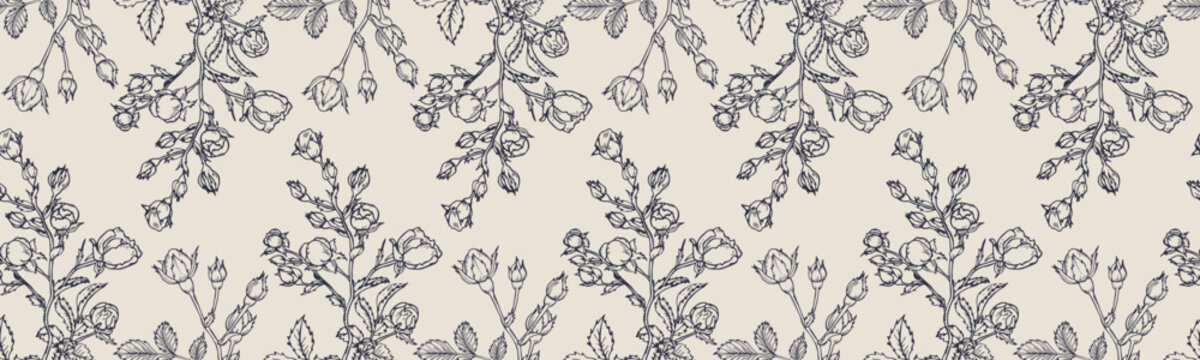 Vector horizontal seamless border with hand drawn Rose Flower. Eps 10. Line-art botanical illustration. Floral backdrop