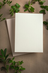 blank card and  green plants
