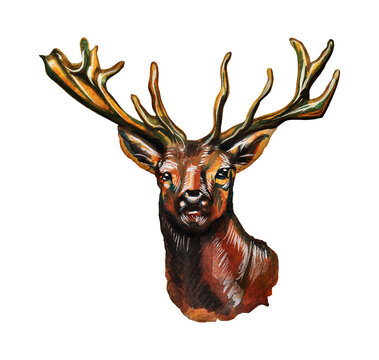 Moose face cameo. Thick deer antlers. Watercolor drawing on a white background.