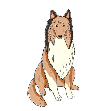 Collie dog sitting illustration. Cute cartoon image for sticker, children illustration