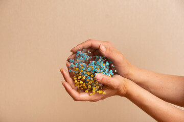 Yellow-blue gypsophila flowers in a woman's hand. Ukrainian symbols