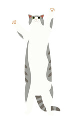 手を伸ばした長々したグレー猫　背景透明