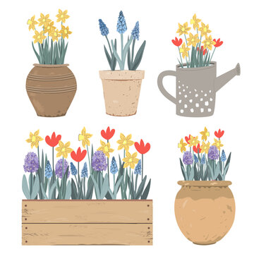 Collection of vintage pots, watering can and box with Spring flowers. Tulips, hyacinths, muscari, daffodils. Doodle hand drawn vector illustration isolated on white. Summer garden