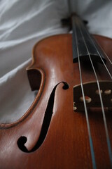 violin and bow