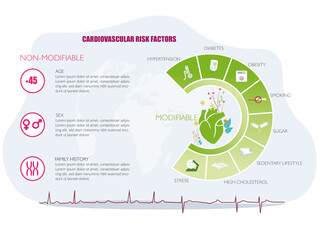 Infographic on the types of cardiovascular risk factors, modifiable and non-modifiable with their icons such as diabetes, age, smoking, overweight, sedentary lifestyle, stress, sex, etc.