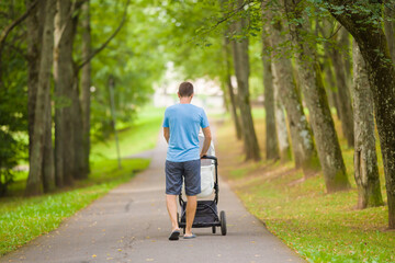 Young adult father pushing white baby stroller and slowly walking through alley of green trees in...