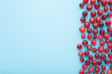 Fresh red cranberries on light blue table background. Pastel color. Closeup. Top down view. Empty...