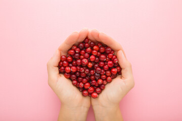 Young adult woman opened palms holding heap of fresh red cranberries on light pink table...