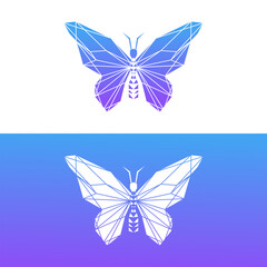 butterfly insect vector art line template illustration