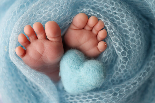 The tiny foot of a newborn baby. Soft feet of a new born in a wool blue blanket. Closeup of toes, heels and feet of a newborn. Knitted blue heart in the legs of baby. Macro studio photography. 
