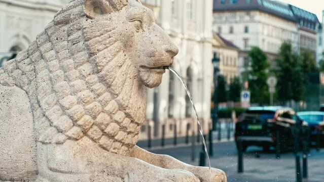 Close up footage of Lion Fountain in Budapest.
